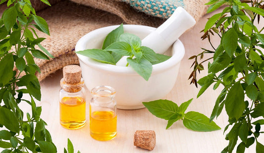 Aceites esenciales en herbolaria mexicana y su uso