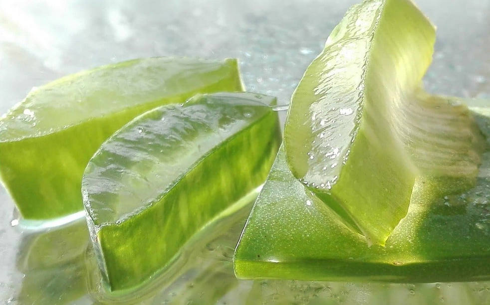 Usos del aloe vera para el cabello