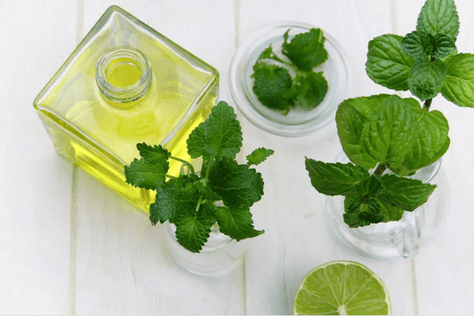 Aceite esencial de menta: la fresca fragancia de oriente