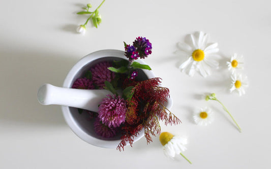 ¿Maquillaje ecológico? Conoce la cosmética sustentable