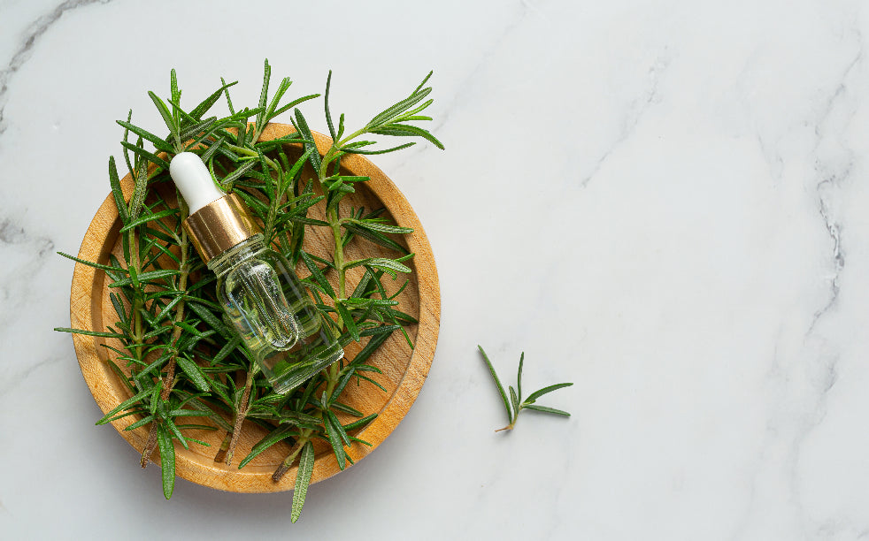 Aceite de romero: usos y beneficios