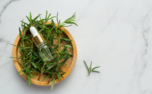 Aceite de romero: usos y beneficios