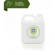 Fragancia / Base Bergamota Cream (crema) - 500 g