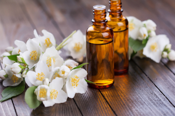 Todo sobre el aceite de jazmín, 'El rey de los aceites esenciales'