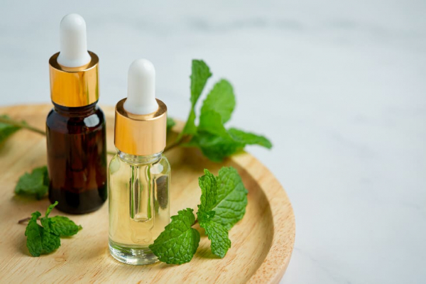 Extractos de plantas: ¿Qué son, cómo se obtienen y para qué sirven? 