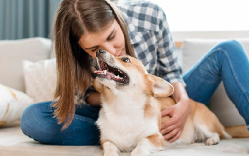 ¿Cómo neutralizar olor a mascota?